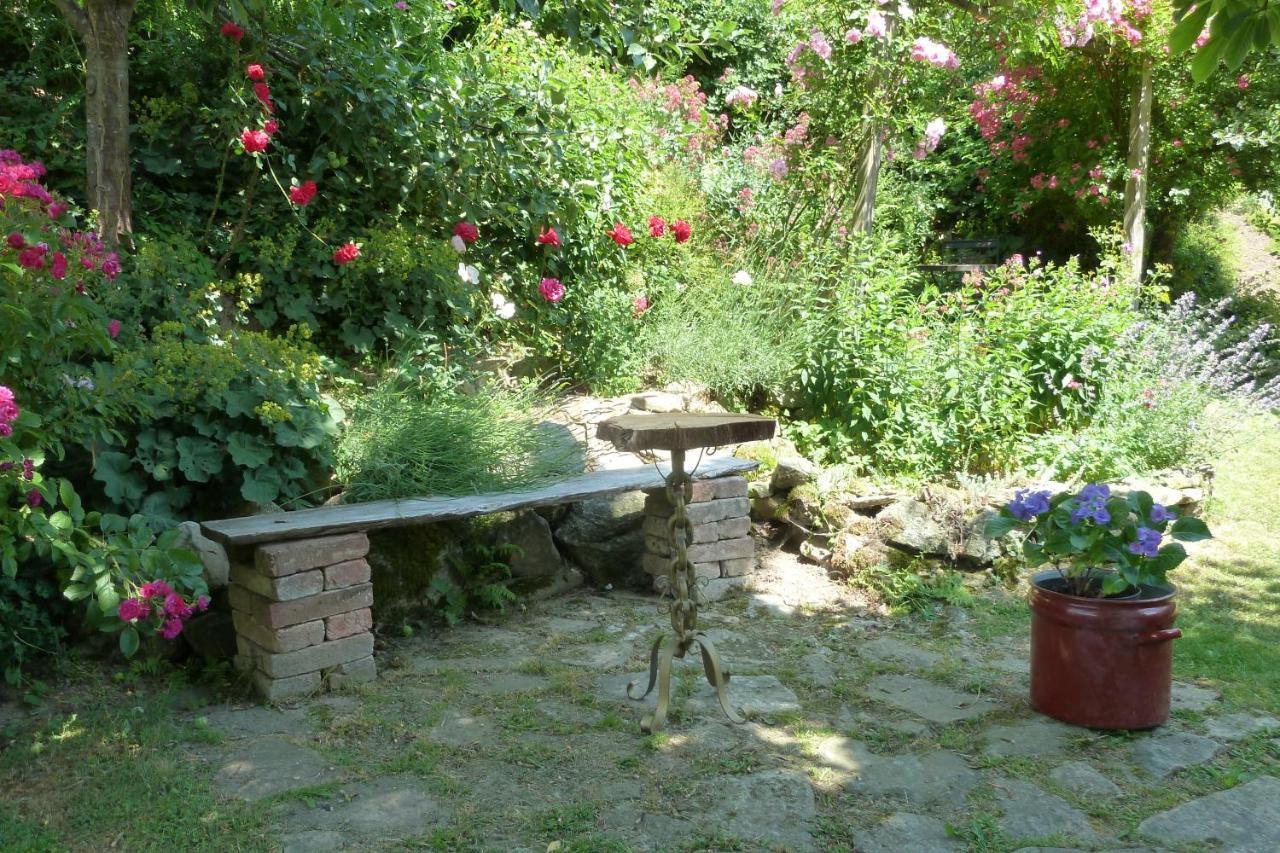 Ferienwohnung Degner Schönberg Buitenkant foto